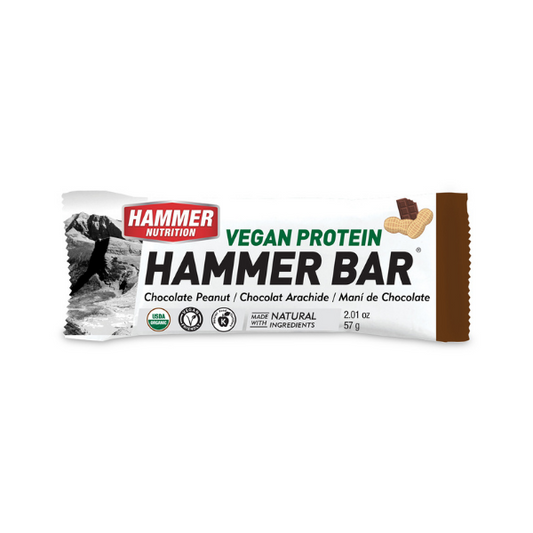 Hammer Nutrition Bar Vegan Protein Peanut Butter