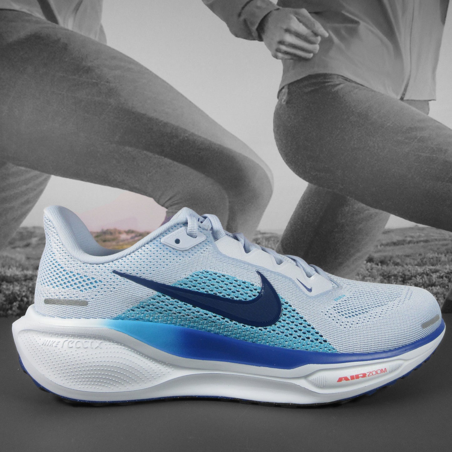 Nike Pegasus 41 Mens