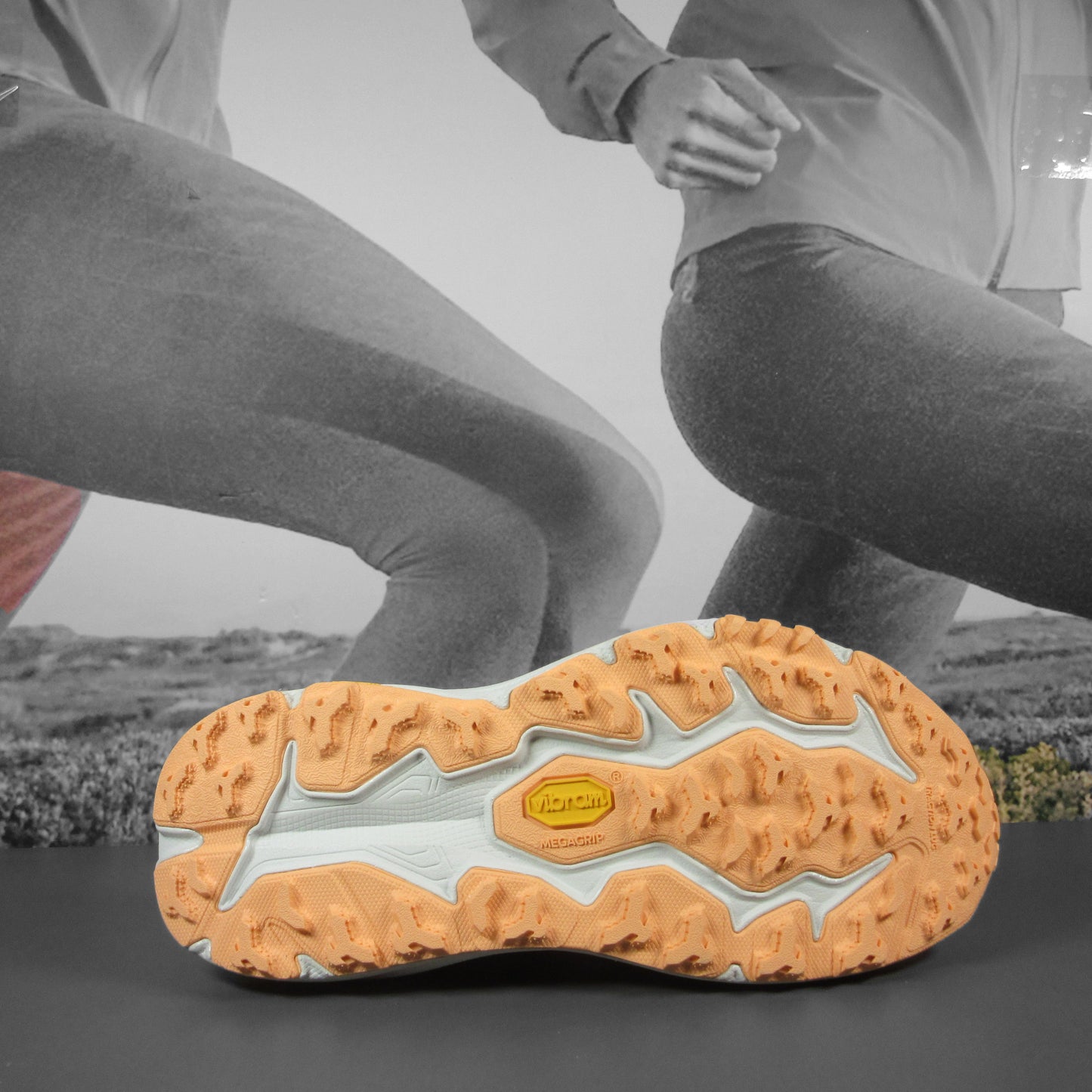 Hoka Speedgoat 6 Womens