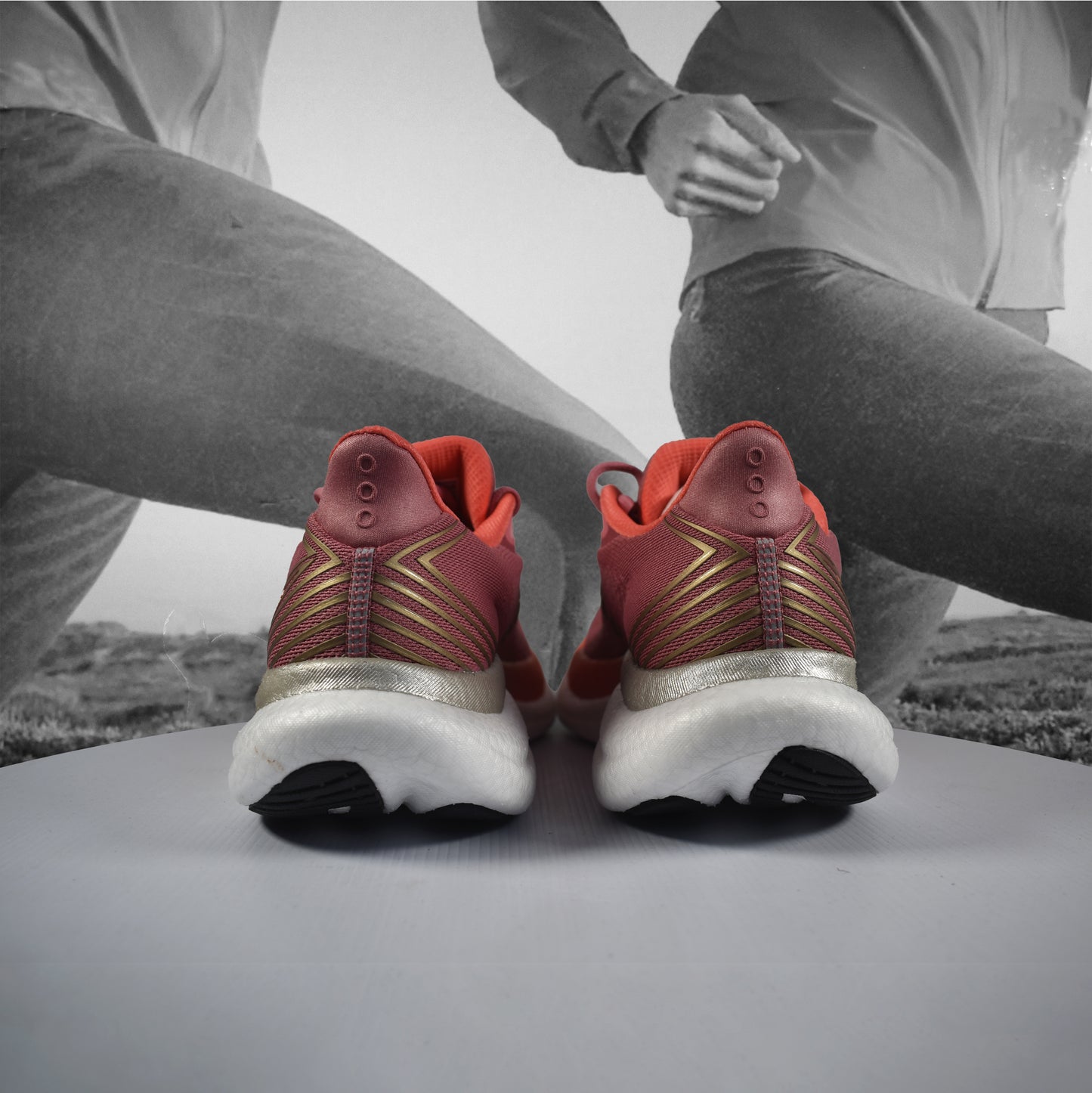 Saucony Triumph 23 Womens Running Shoes