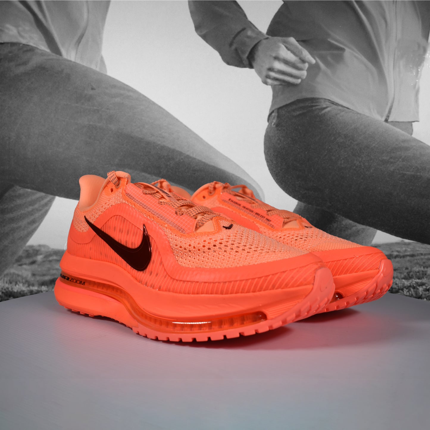 Nike Pegasus Premium Womens Road Running Shoes