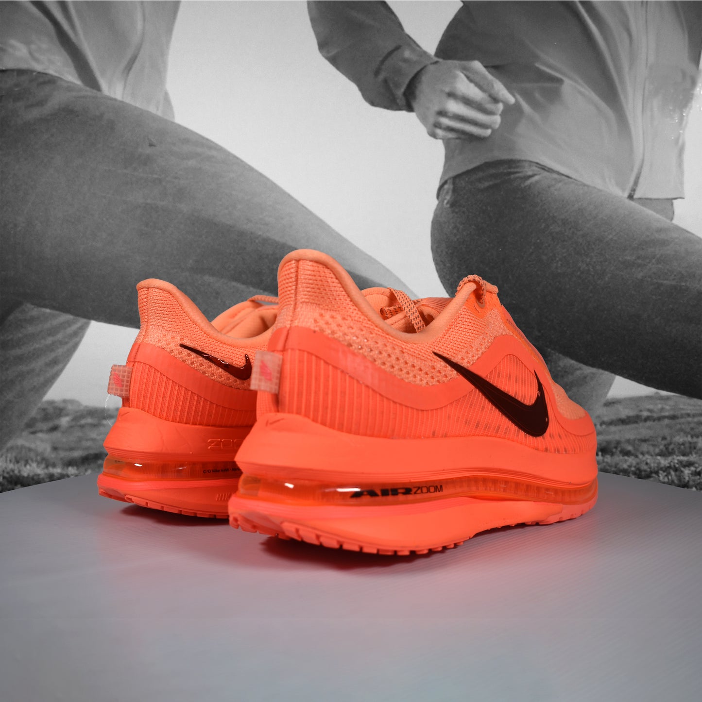 Nike Pegasus Premium Womens Road Running Shoes