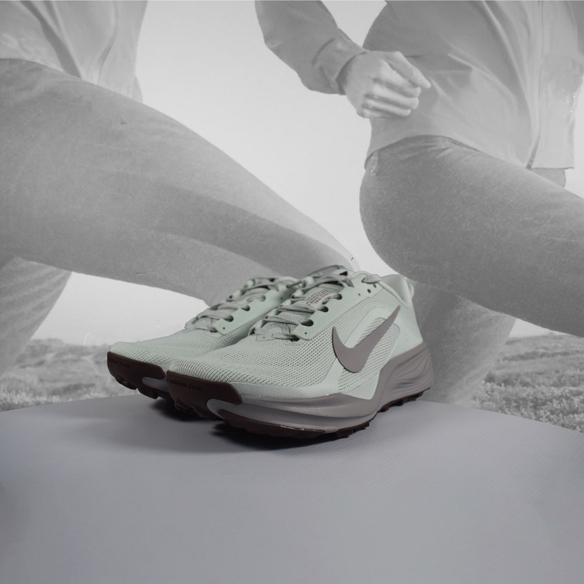 Nike ACG Pegasus Trail Women's Trail Running Shoes