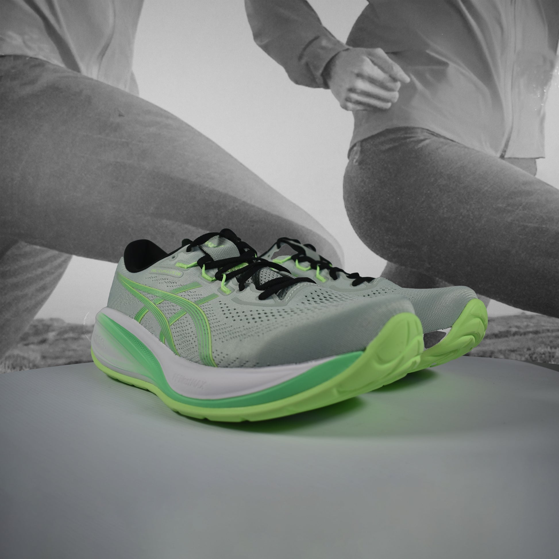 Asics GEL-CUMULUS 28 Mens Running Shoes - Durban Runner COLD MOSS/VITAL GREEN / 8.5