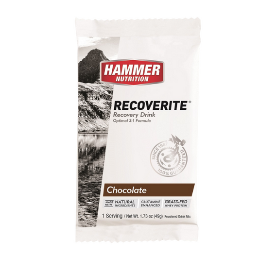 Hammer Nutrition Recoverite Chocolate Single