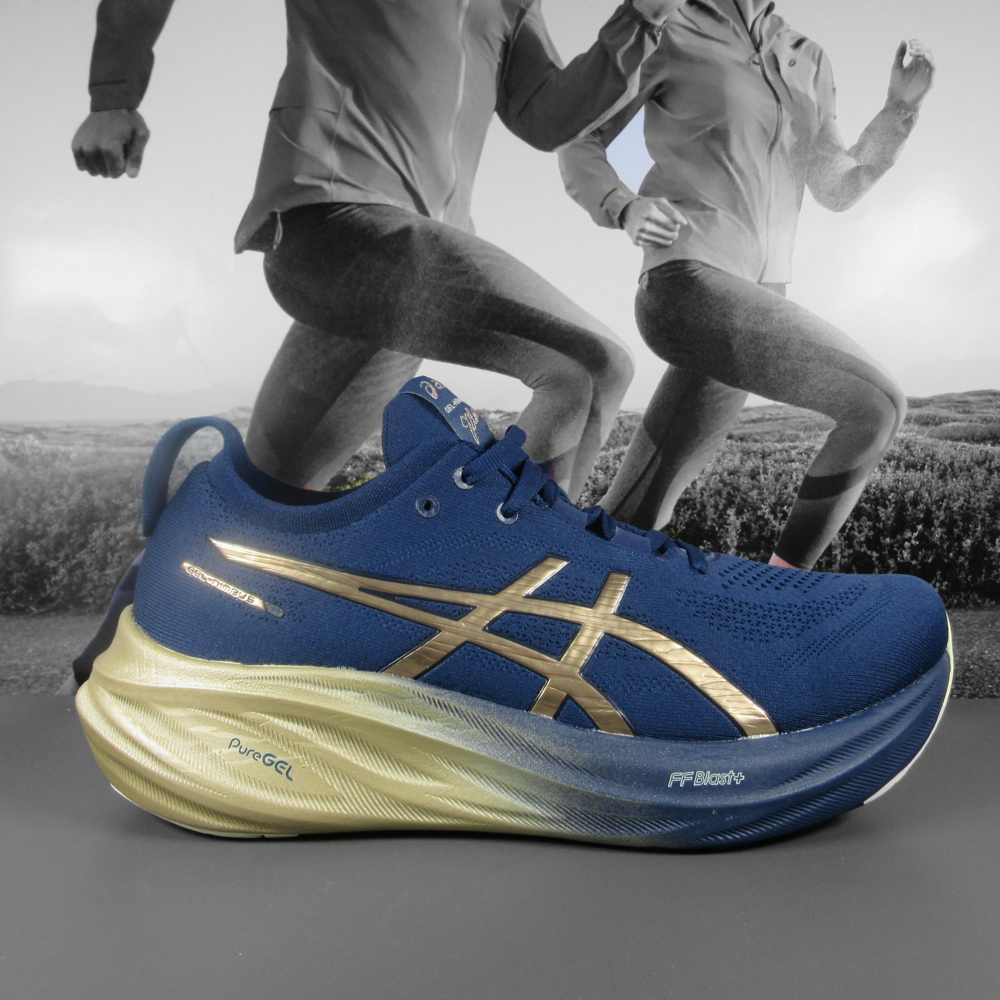 Asics Gel Nimbus 26 Mens Platimun Edition - Durban Runner