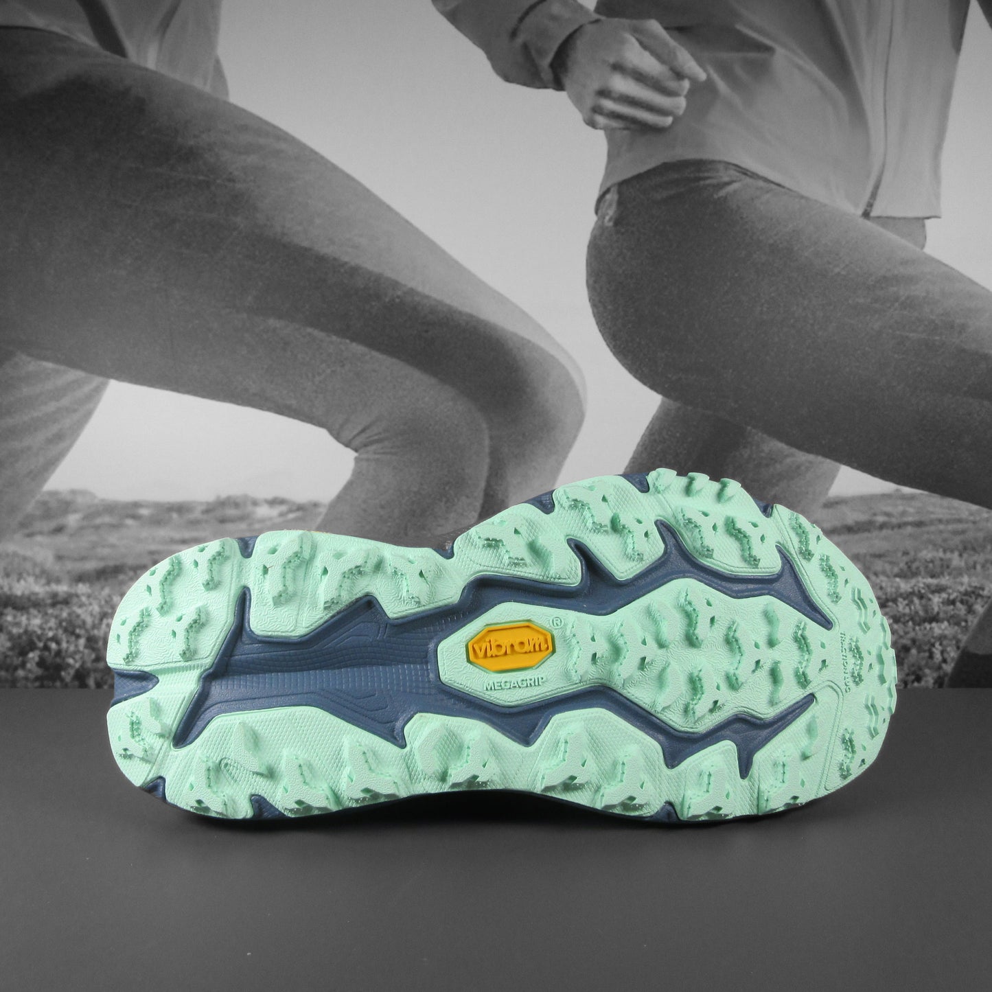 Hoka Speedgoat 6 Womens