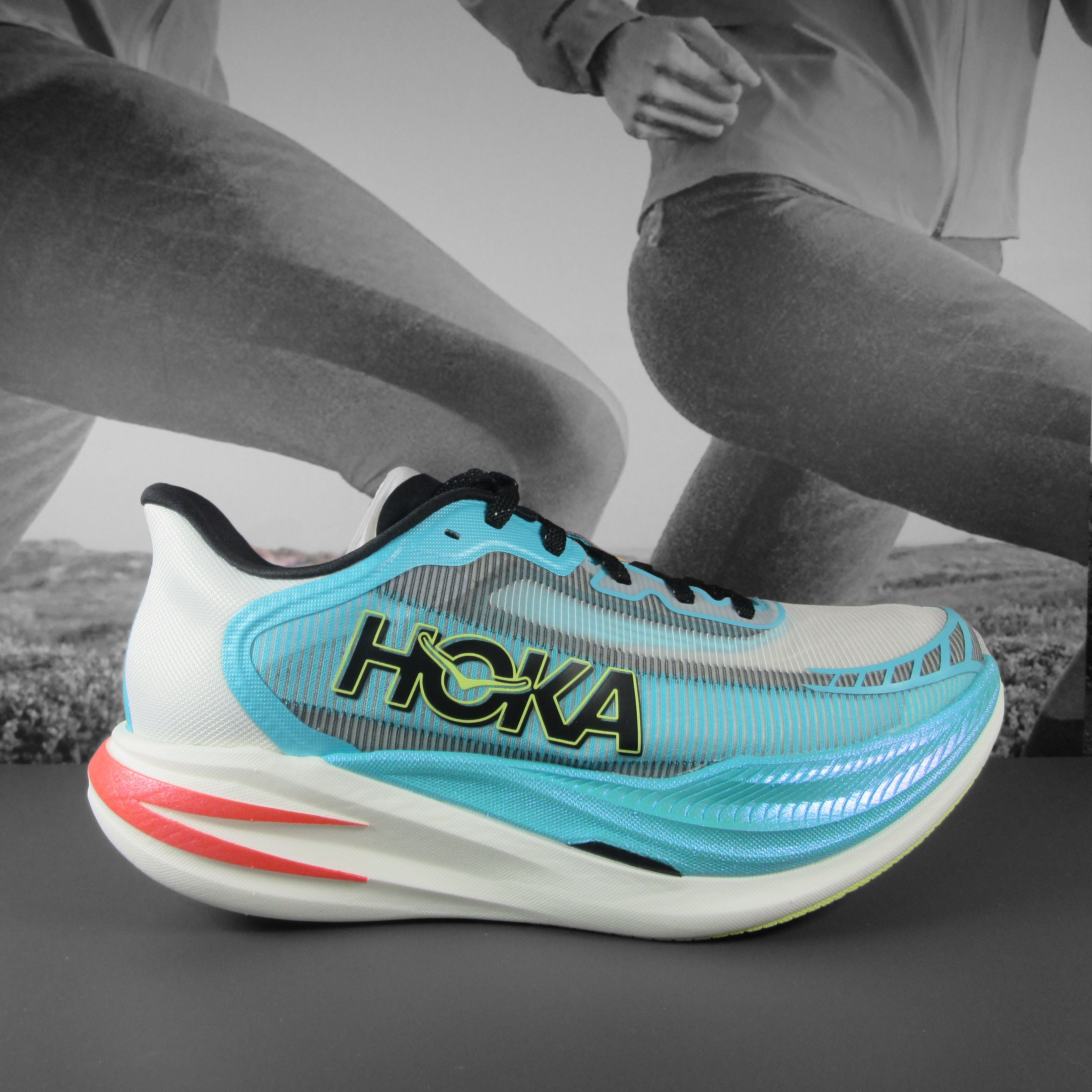 IMG_1431.jpg?v=1737632482&